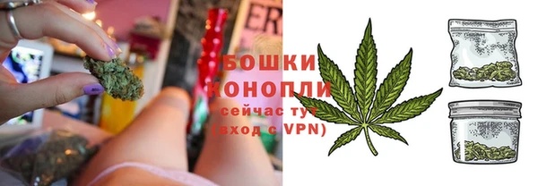 стафф Богородицк