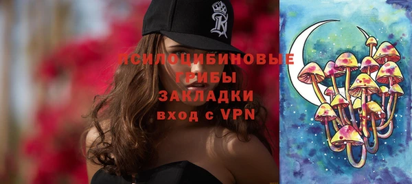 ГАЛЛЮЦИНОГЕННЫЕ ГРИБЫ Бронницы